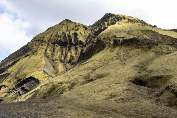 What are the latest wellness trends emerging in the UK?