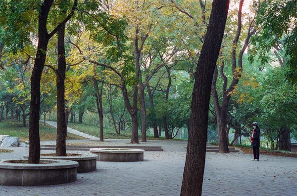 Enhancing elderly diabetes management: the role of mindful eating in boosting health and wellness