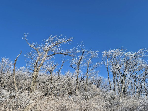 What are effective ways to promote family wellness in the UK?