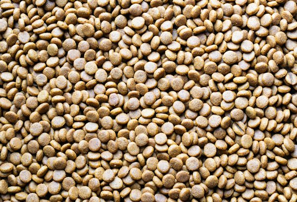 How Can a Balanced Diet Influence Your Mental Well-Being?